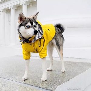 Dog Raincoat with Pockets & Hoodie